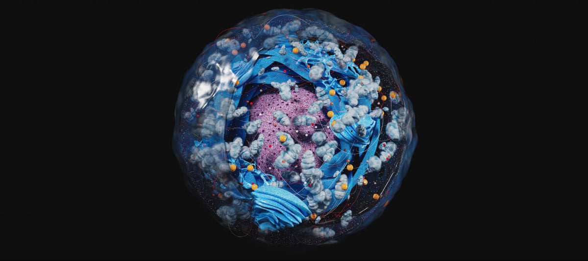 6 research-backed ways to support your cell health