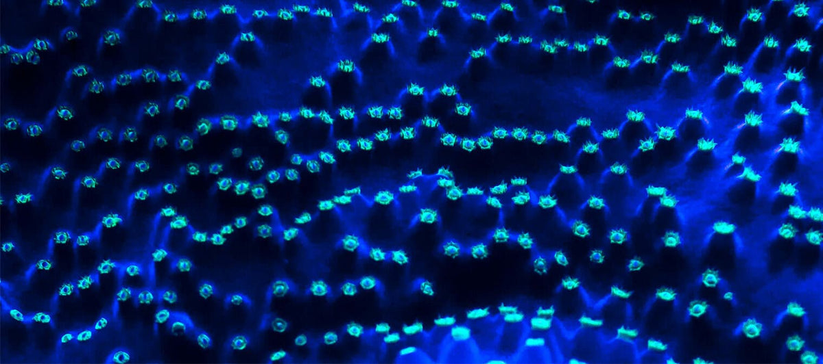 8 amazing discoveries in modern in cell biology