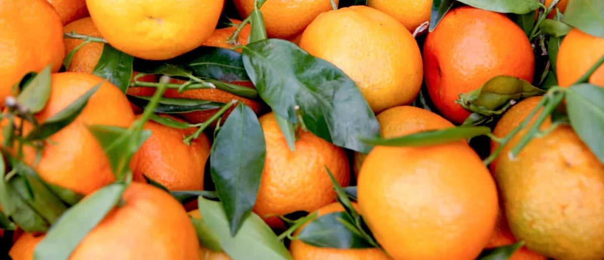 Antioxidant drinks & their health benefits