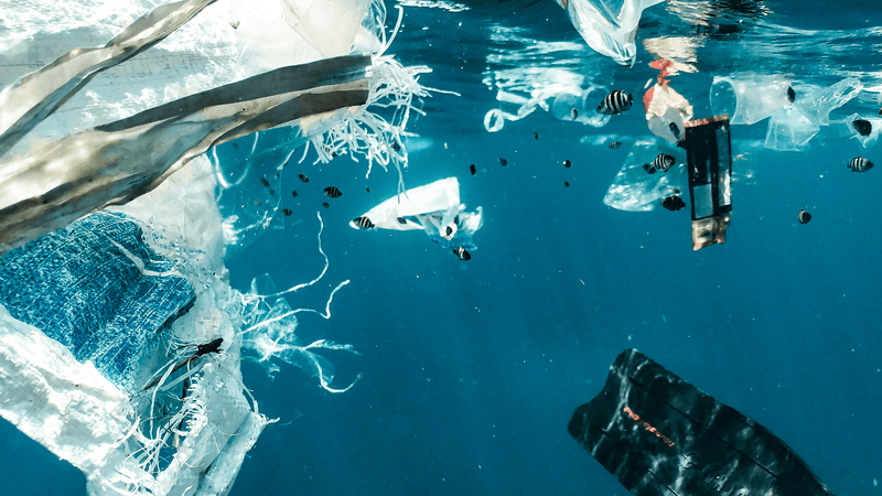 Thumbnail for How MitoQ Mitoquinol may help protect us from microplastics