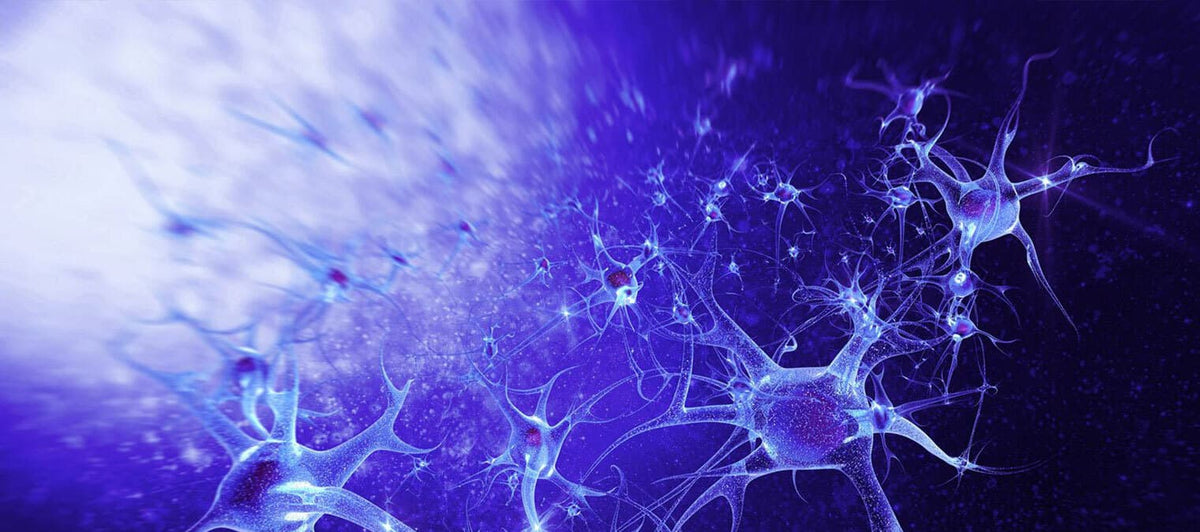 Introducing history’s greatest cellular scientists