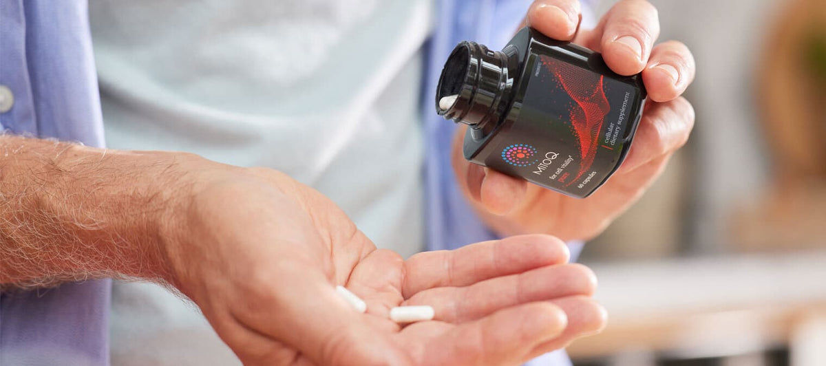 Scientists confirm safety of MitoQ and kidney health