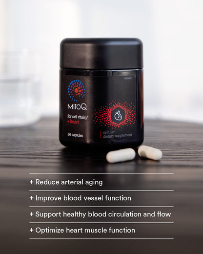 MitoQ +heart