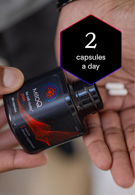 A close-up of a person holding a black bottle labeled MitoQ, with white capsules resting in their hand. A black hexagonal graphic overlay reads '2 capsules a day'.
