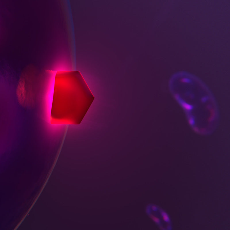 Mitochondria