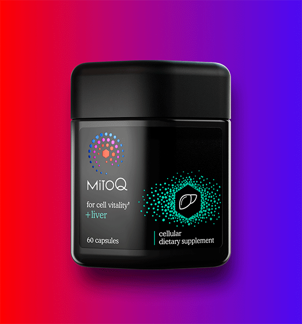 MitoQ +liver supplement container on a gradient red to purple background
